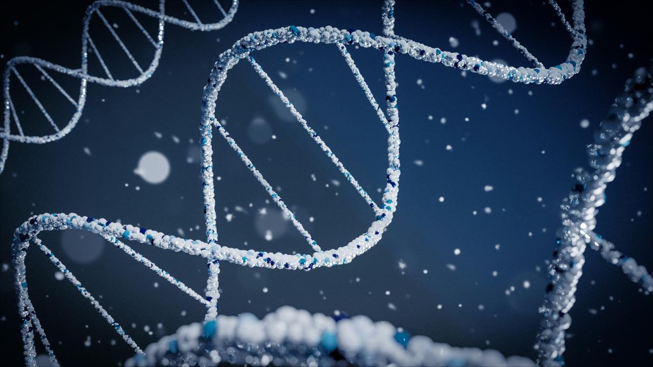 The Revolution of Personalized DNA Medicine Today