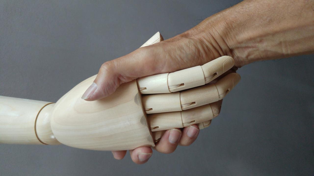 Future Bionic Limbs Controlled by Human Thought